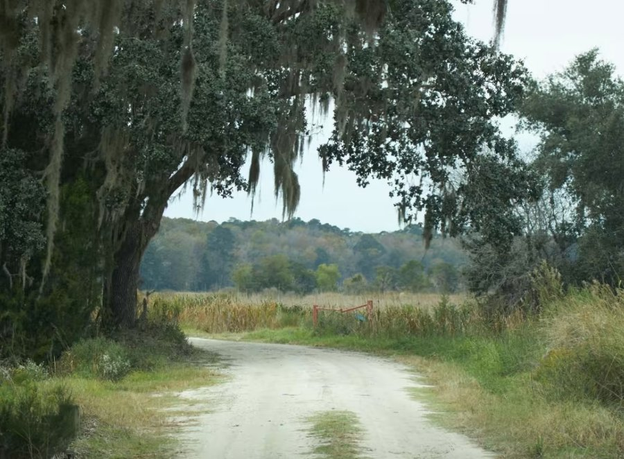 The long road home